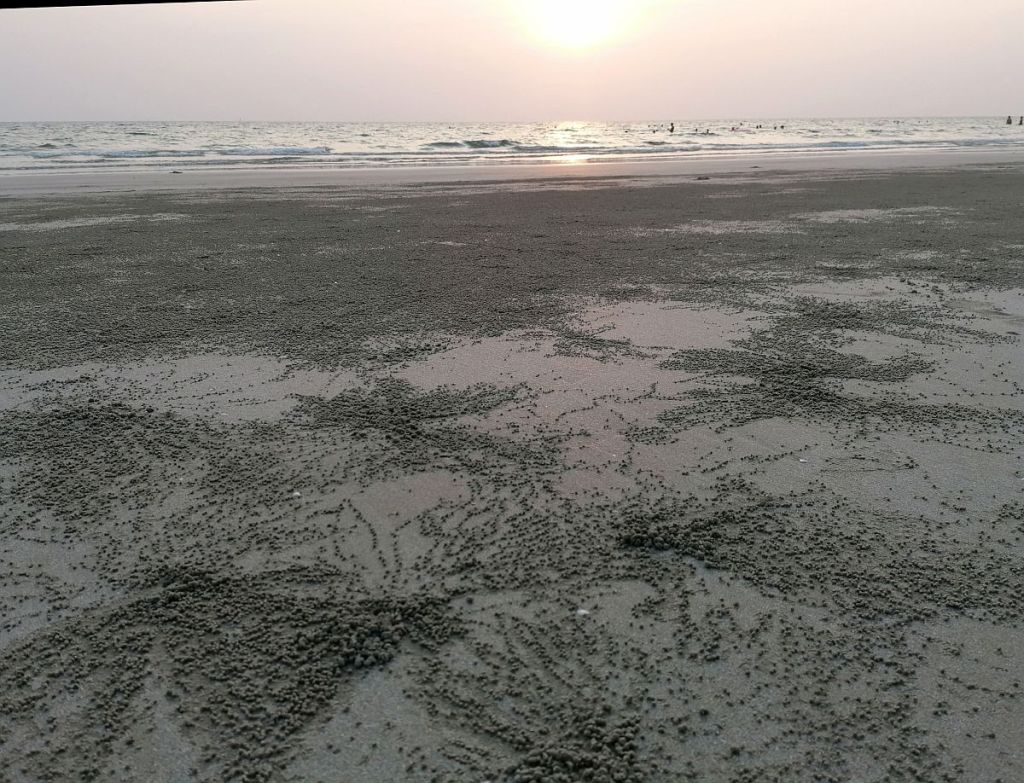 kugelkrebse am Strand