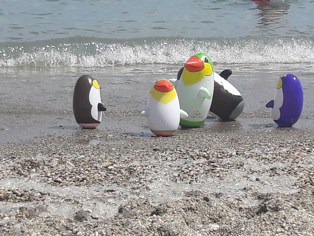 Pinguine am Strand