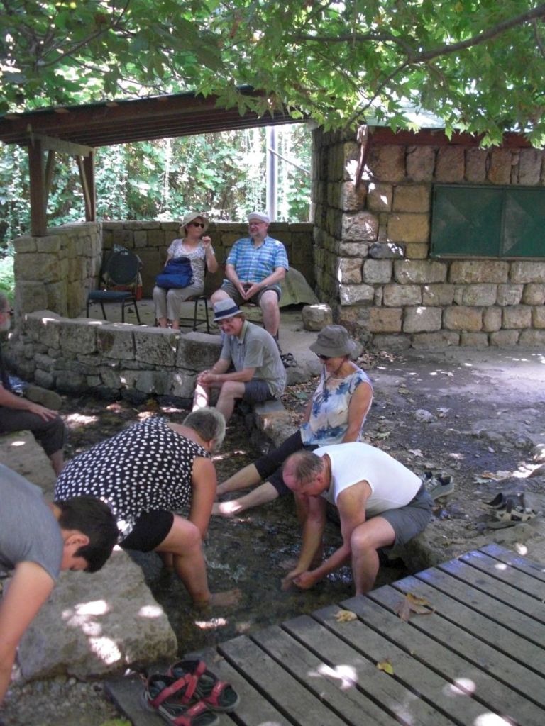 Rast am jungen Jordan