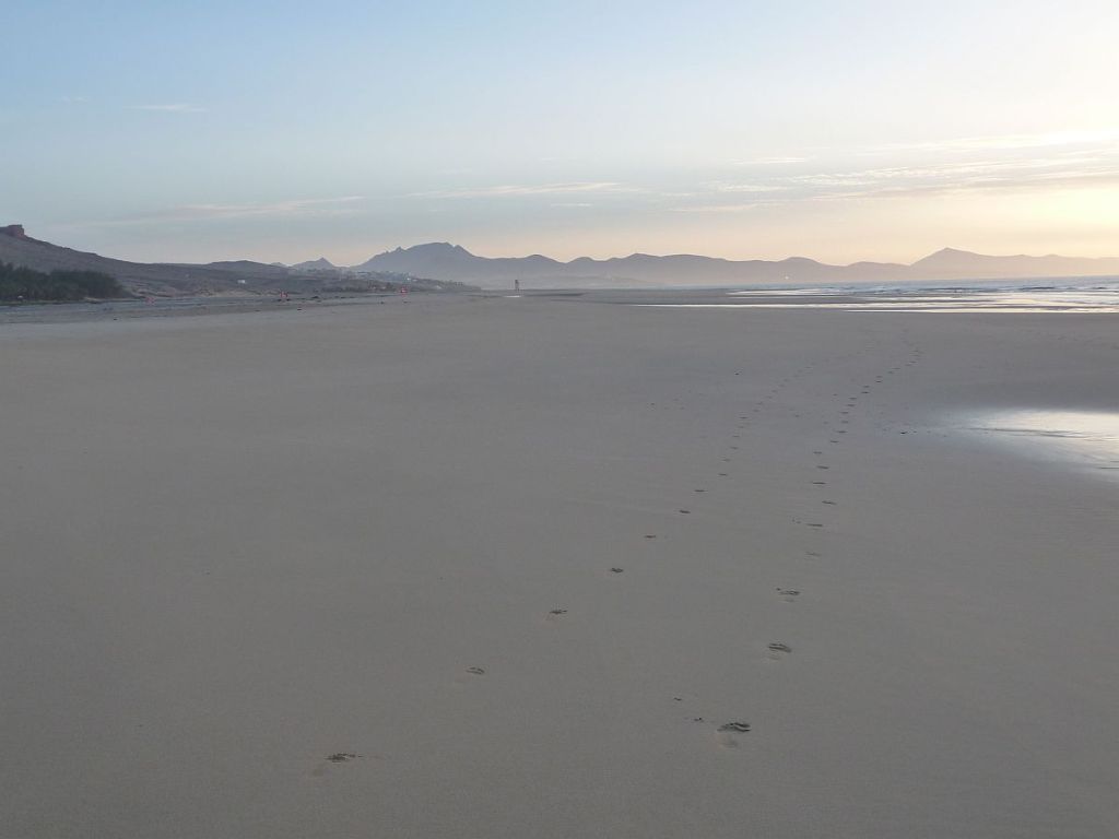 einsamer strand in fuerteventura