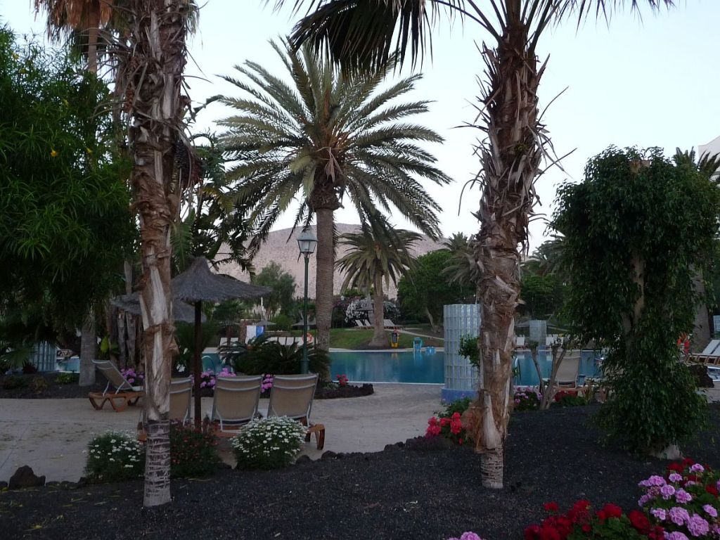 unbenutzter pool im morgenlicht