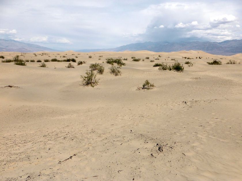 Wüste bei Las Vegas