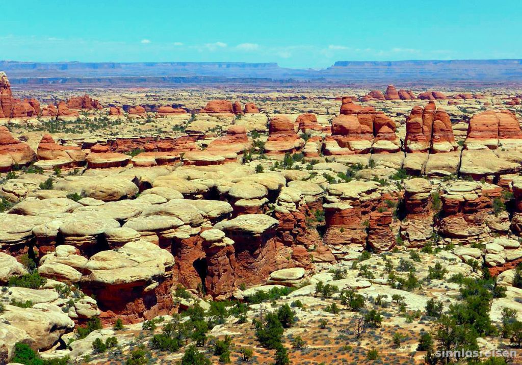 Hoodoos in Canyonlands