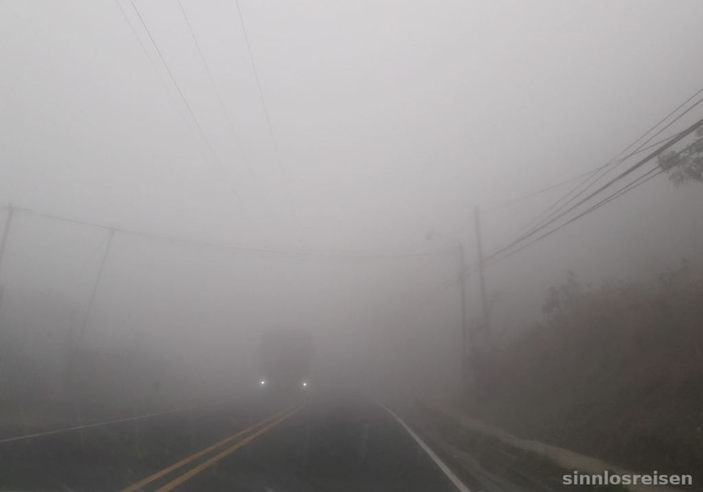 Nebel auf der Straße im Nebenwald