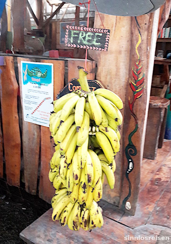 Free Bananas