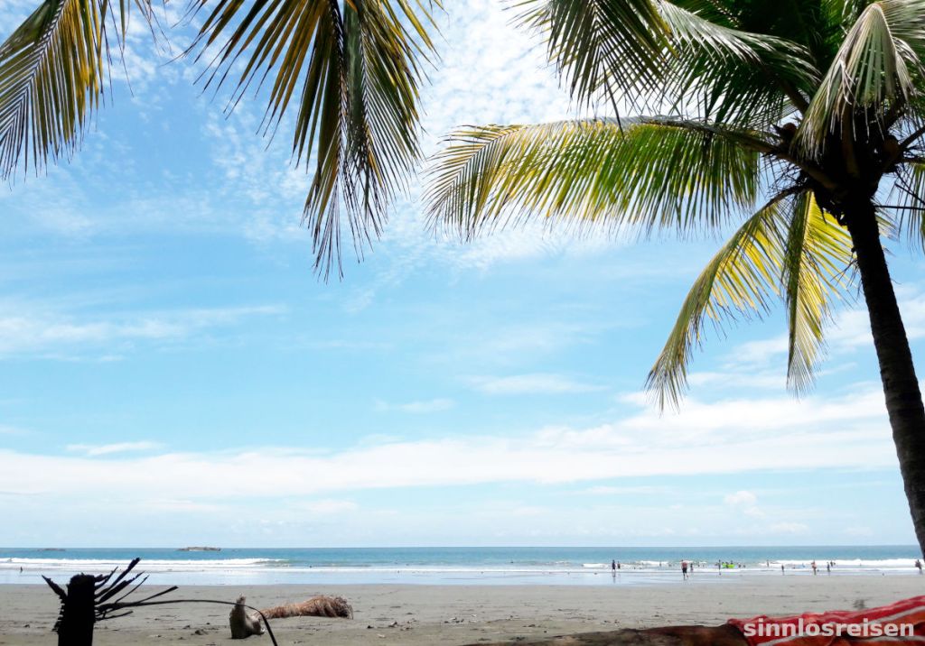Beach Strand mit Palmen