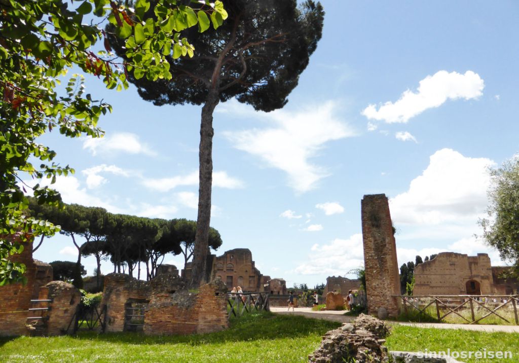 Ruinen im Forum Romanum