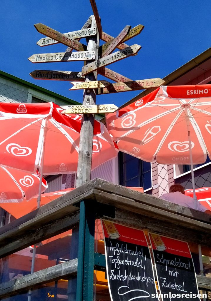 Schilderwald auf der Schafbergspitze