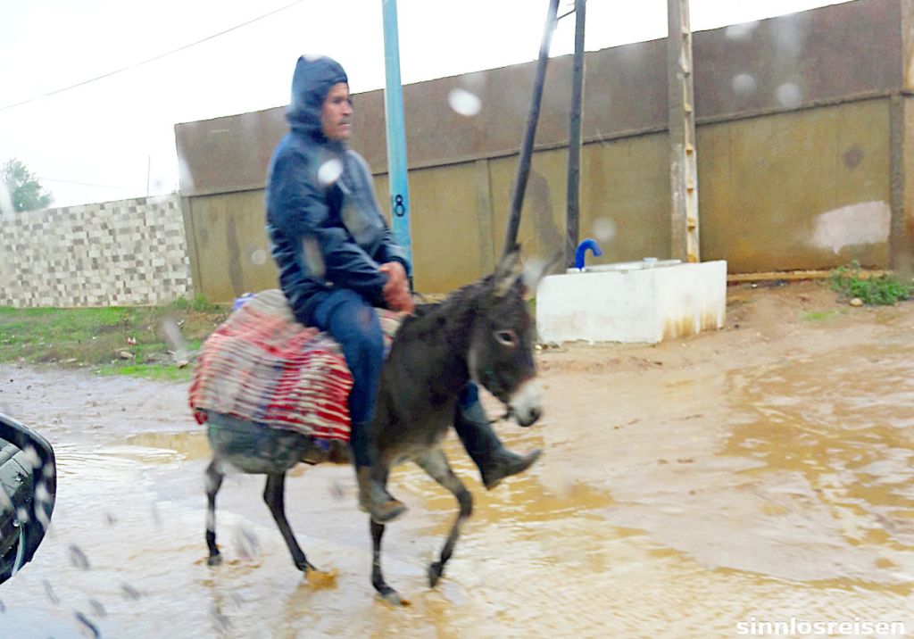 Mann reitet auf Esel im Regen
