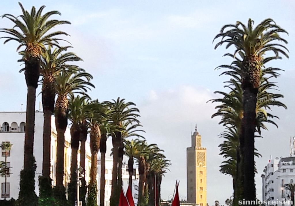Minarett mit Palmen in Rabat