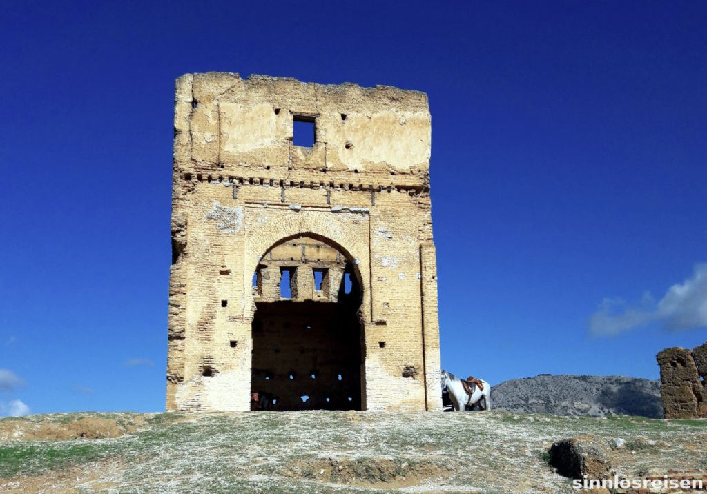 Ruine mit Pferd vor blauem Himmel