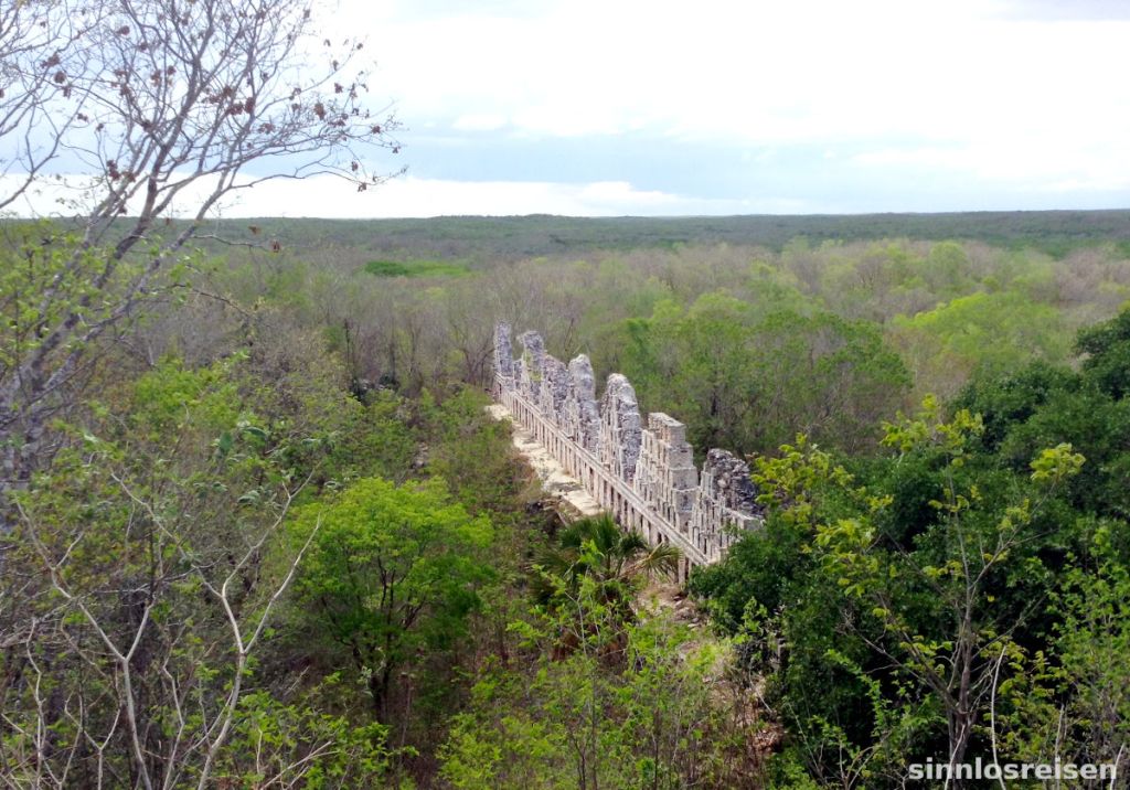 Mayaruinen im Urwald