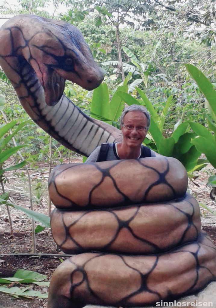 SinnlosReisender mit Riesenschlange