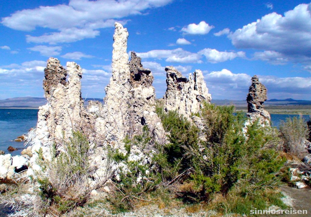 Mono Lake Kalkstein