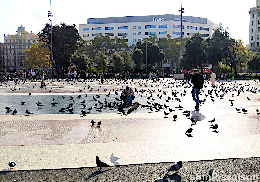 Placa Cataluna mit Tauben