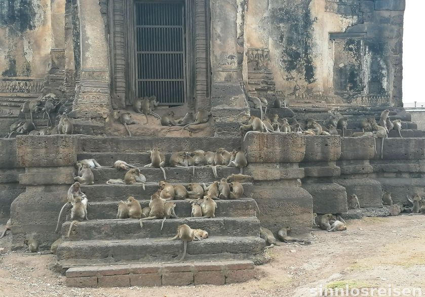 Affenhorde am Prang Sam Yot in Lopburi