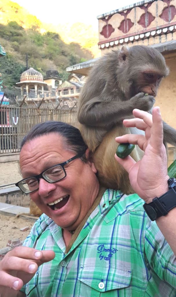 Affe auf der Schulter