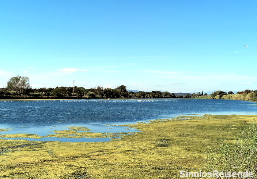 Naturschutzgebiet Natural des Montgri