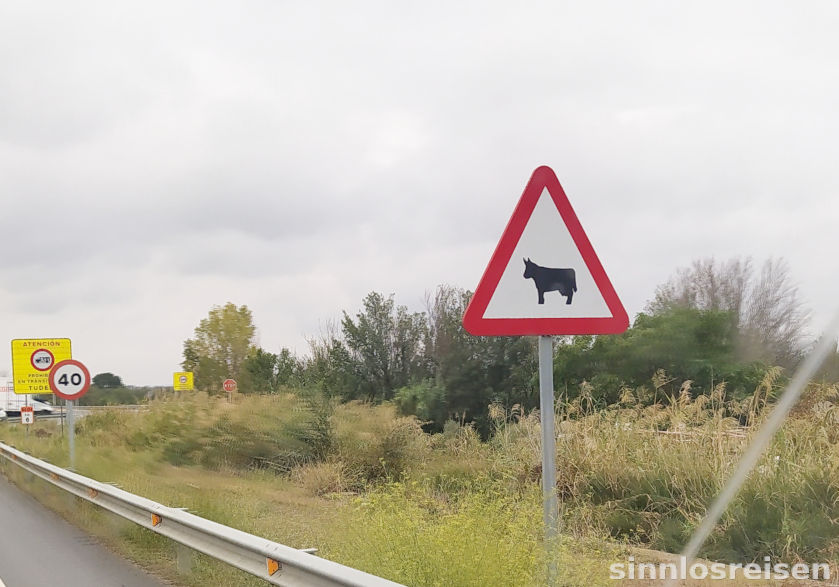Straßenschild Stier