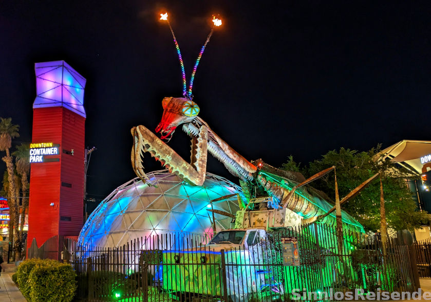 Gottesanbeterin in der Fremont Street