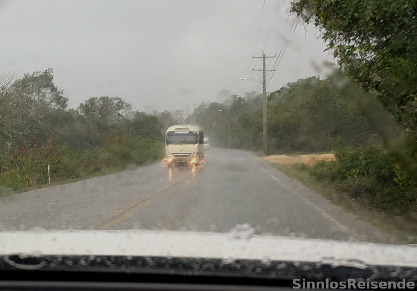 Straße im tropischen Regen
