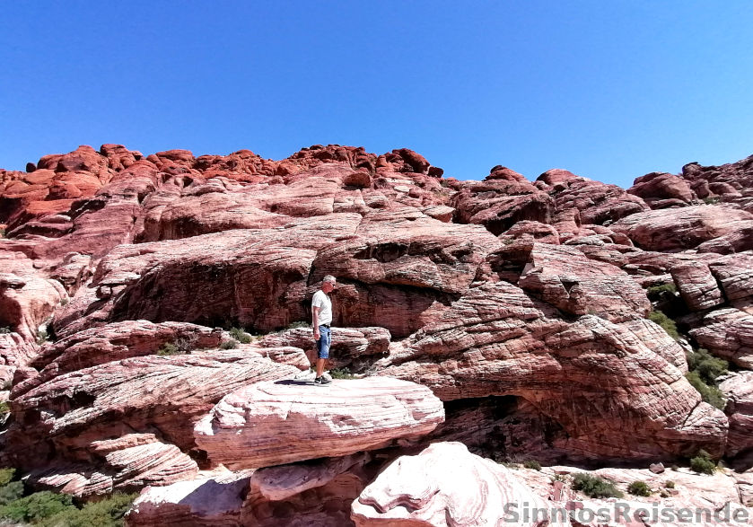 SinnlosReisender sucht den Weg im Red Rock Canyon
