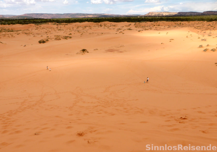 Coral Pink Sand Dunes