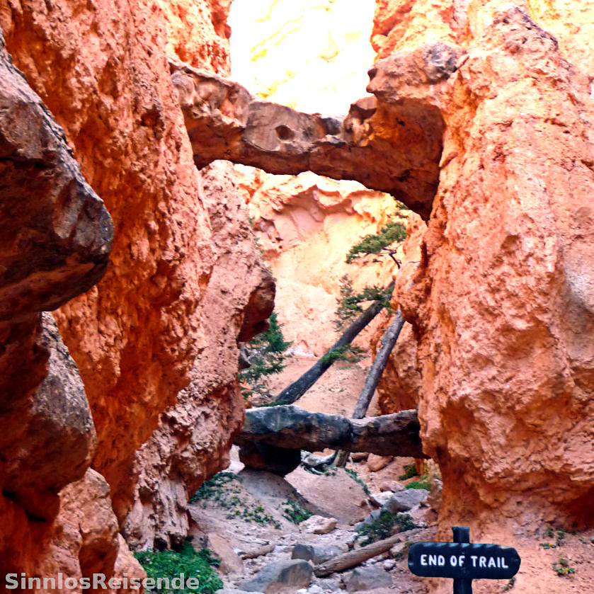 Sackgasse im Bryce Canyon