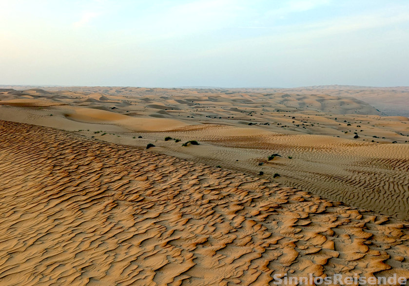 Endlose Dünen in der Wahiba