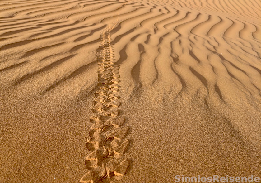 Seltsame Spuren im Sand