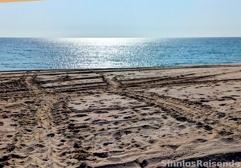 Spuren von Schildkröten im Sand