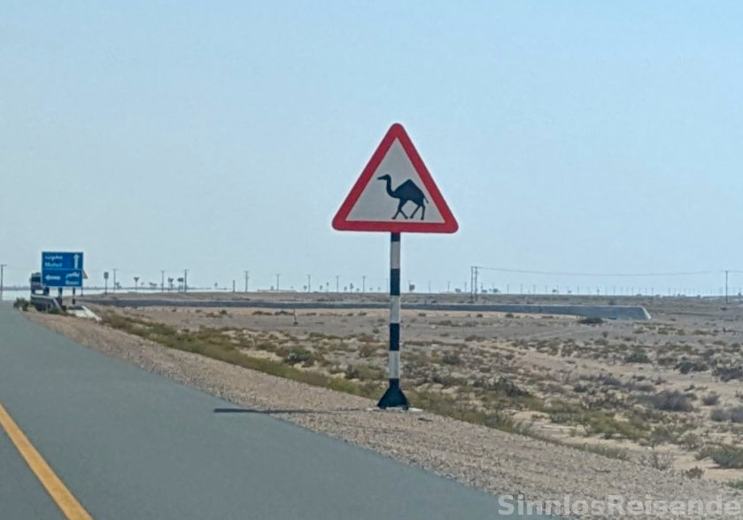 Schild Achtung Kamele