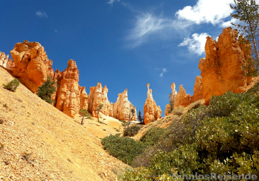 Türme im Bryce Canyon