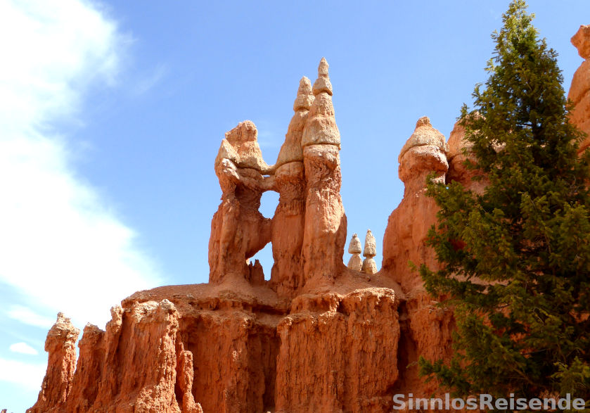 Steinfiguren im Bryce Canyon