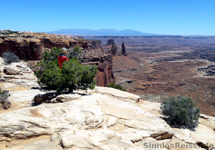 Frau im Busch schaut auf den Canyonlands NP