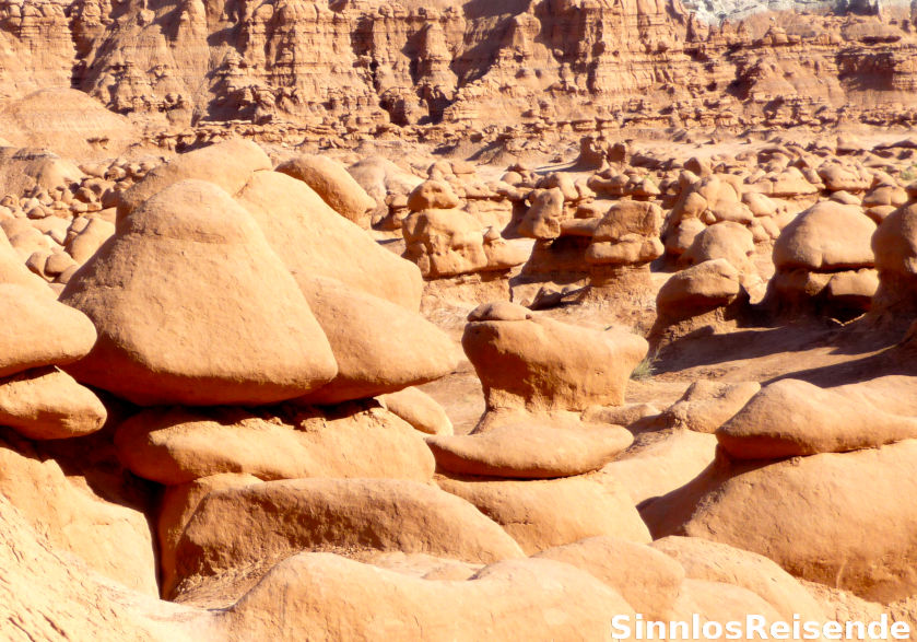 Pilze im Goblin Valley