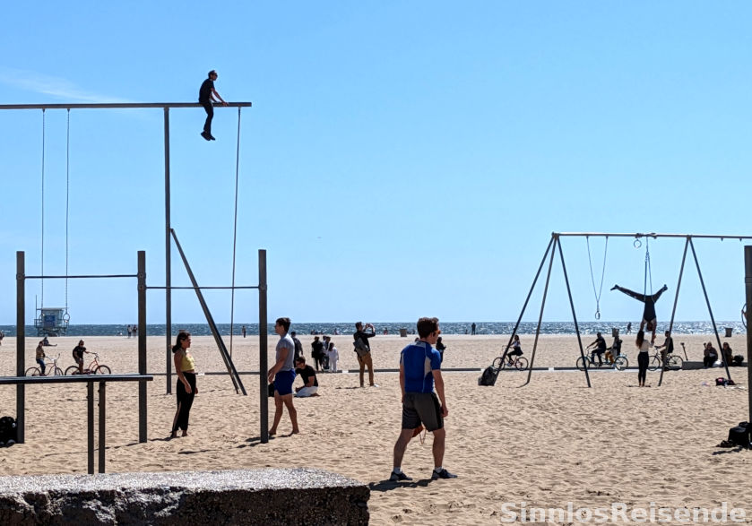 Muscle Beach