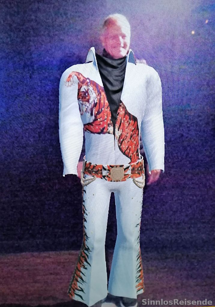 SinnlosReisender in Elvis Kostüm