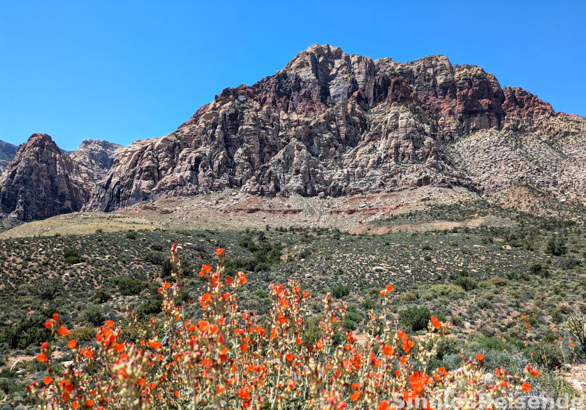 Berg im Red Rock Canyon