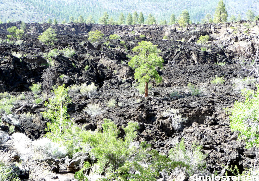 Sunset Crater Volcano