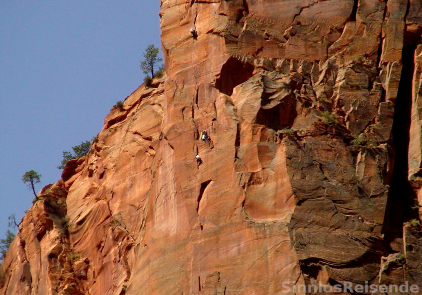 Free Climber im Zion NP