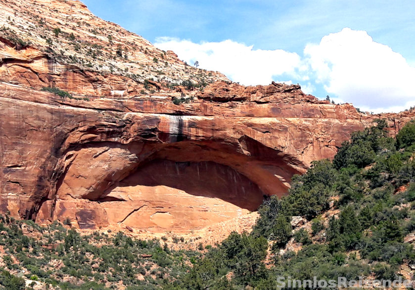 The Arch im Zion NP